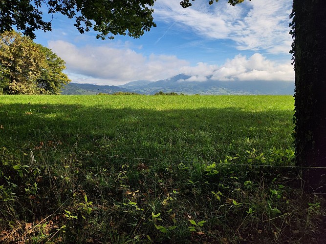 Sentier de randonnée - Les Balcons des Grands Prés - Circuit 1_Peillonnex