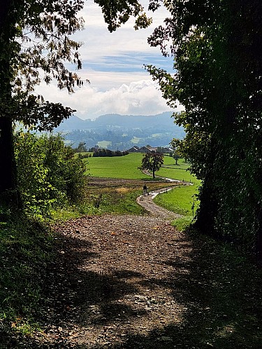 Sentier de randonnée - Les Balcons des Grands Prés - Circuit 1_Peillonnex