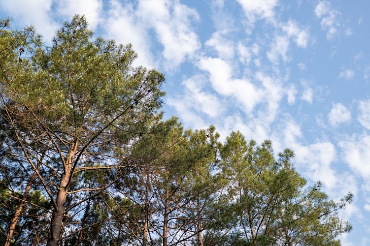 Crédit - Jean Emmanuel Jay (6)