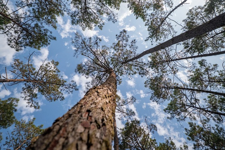 Crédit - Jean Emmanuel Jay (5)