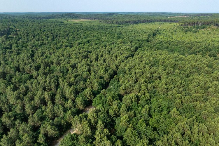 Crédit - Jean Emmanuel Jay (4)