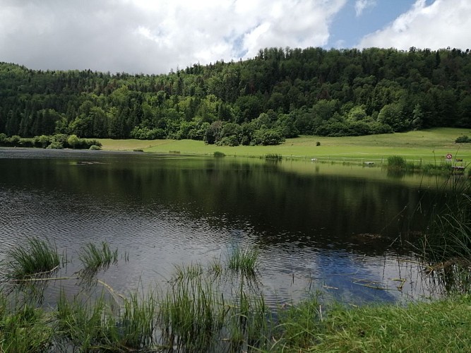 Etang des Lésines