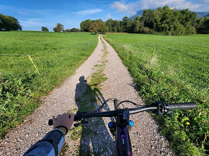 Mountain bike route - Les Balcons des Grands Prés - Circuit 1_Peillonnex