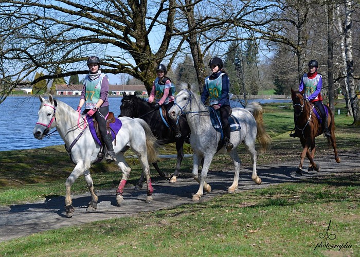 Sentier des carrieres (Equestre)