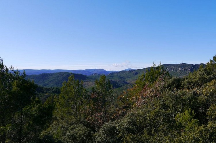Vue sur le massif de la Loube et la Sainte-Baume