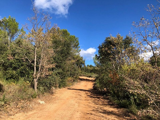 Départ de la randonnée