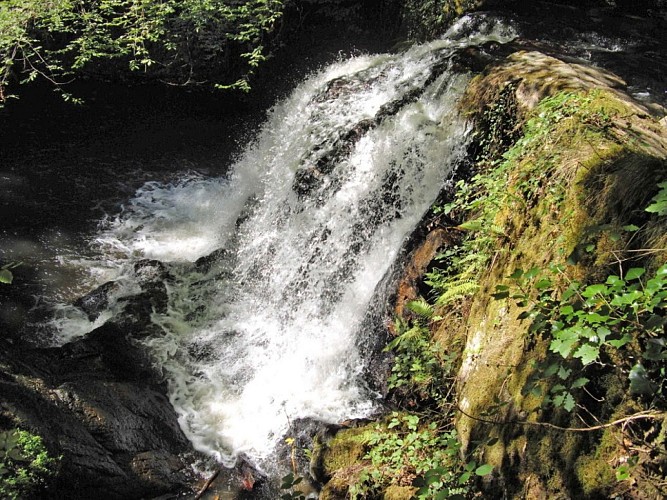 23 ALBUSSAC - Les cascades de Murel (6)_4