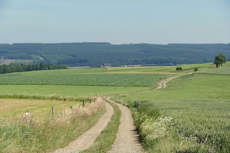 Paysages et Patrimoine, A travers champs (13km)