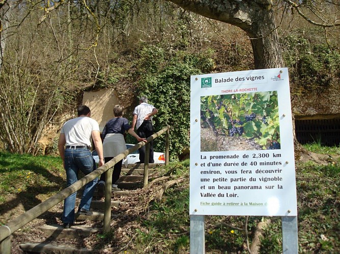 Départ de la balade des vignes à Thoré-La-Rochette