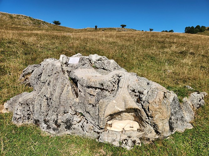 Balade pédestre - Secrets d'alpage_Onnion