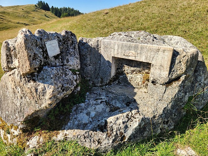 Balade pédestre - Secrets d'alpage_Onnion