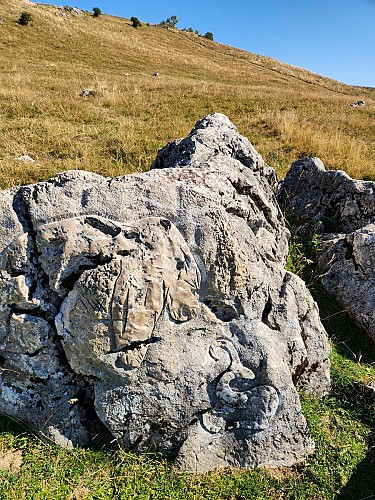 Balade pédestre - Secrets d'alpage_Onnion