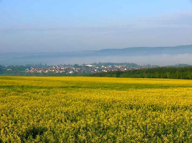 Paysage de Thury-Harcourt