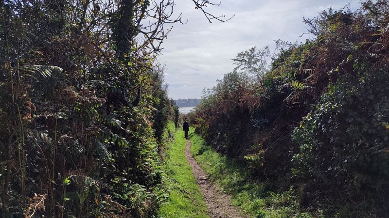 Rive droite de l'Aber Wrac'h | Plouguerneau