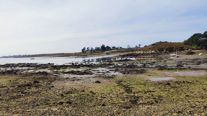 Rive droite de l'Aber Wrac'h | Plouguerneau