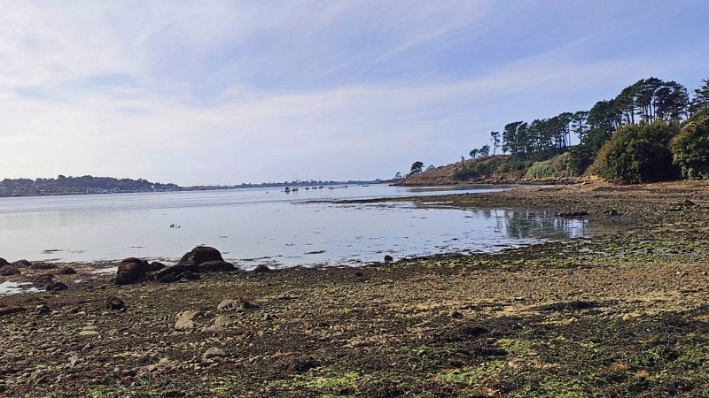 Rive droite de l'Aber Wrac'h | Plouguerneau