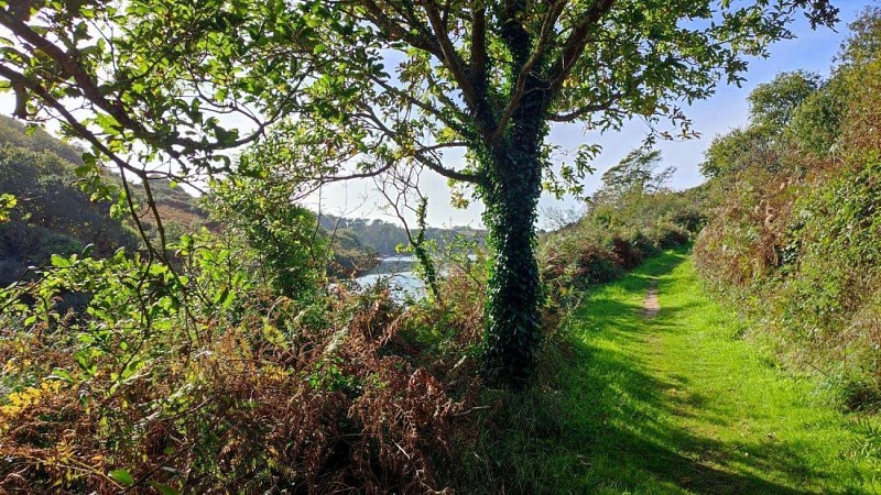Rive droite de l'Aber Wrac'h | Plouguerneau