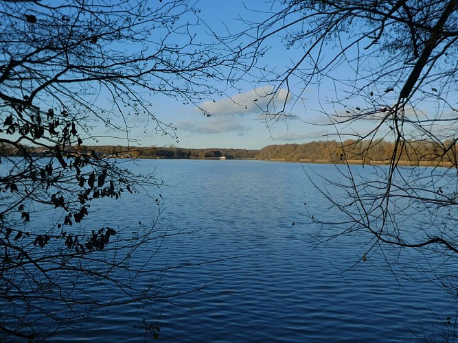 ETANG DE BAZOUGES
