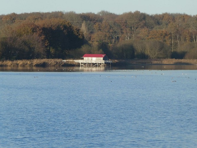 LA MAISON SUR PILOTIS