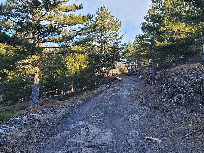 de Gaillergues à St Vincent - 20250114_103316