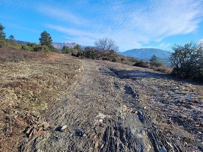 de Gaillergues à St Vincent-20250114_102219