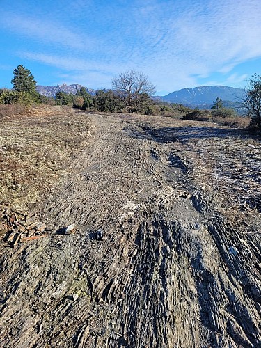 de Gaillergues à St Vincent -20250114_102223