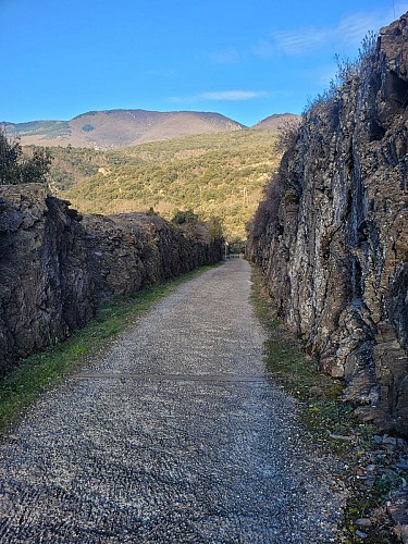 de Gaillergues à St Vincent -20250114_095750