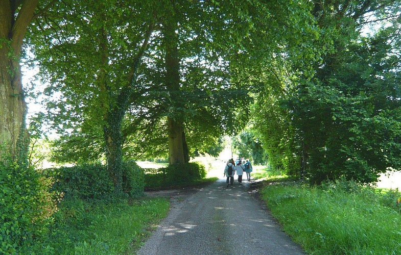 Aux Sources de l'Eaulne