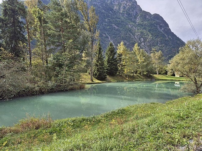 Champeau vijver wandeling_Allemond