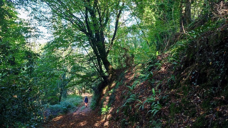Boucle Pont Ar Chlandi | Plufur
