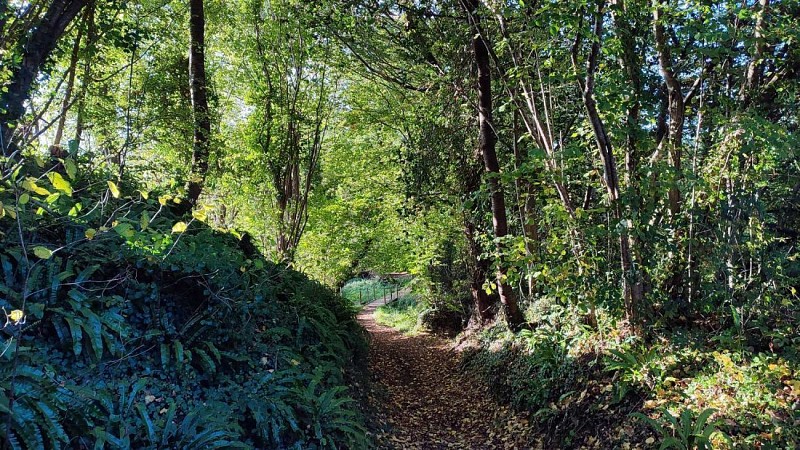 Boucle Pont Ar Chlandi | Plufur