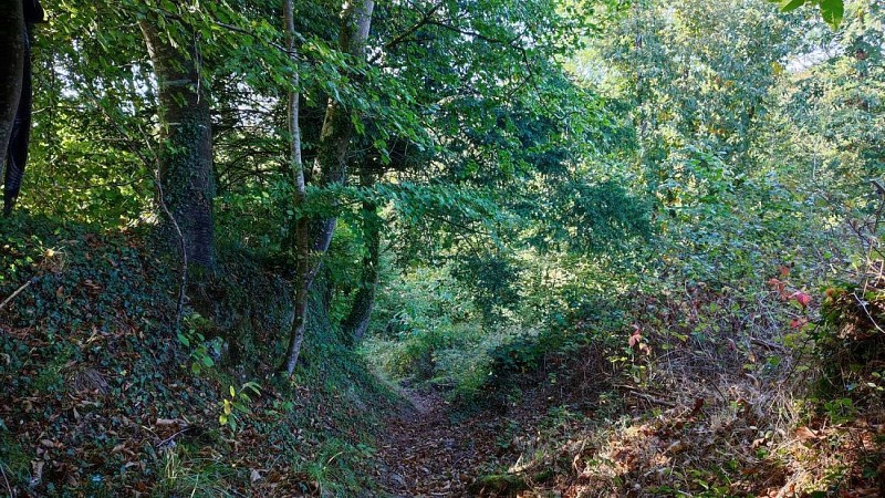 Boucle Pont Ar Chlandi | Plufur