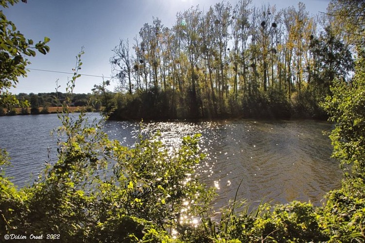 Forêt et vallée de l'Eure