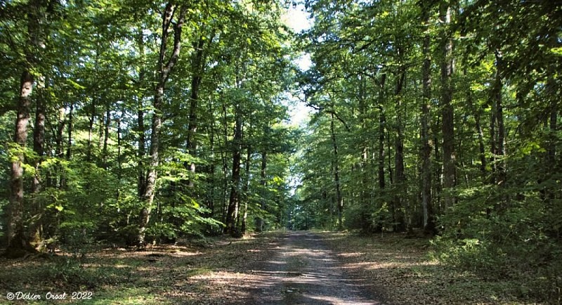 Forêt et vallée de l'Eure