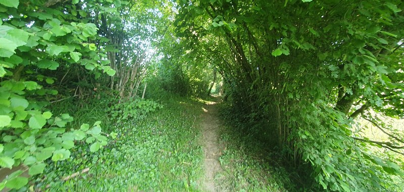 Walk - Moulins de Polliat