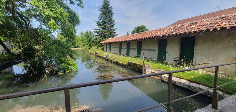 Walk - Moulins de Polliat