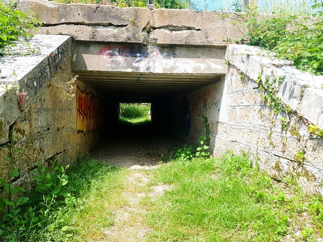 Walk - Moulins de Polliat