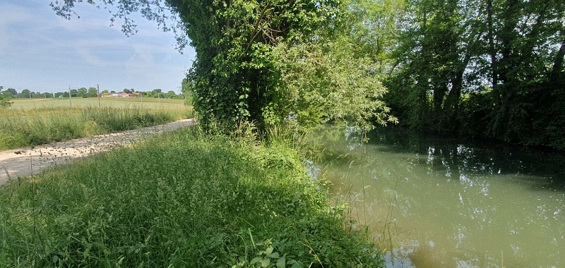 Walk - Moulins de Polliat