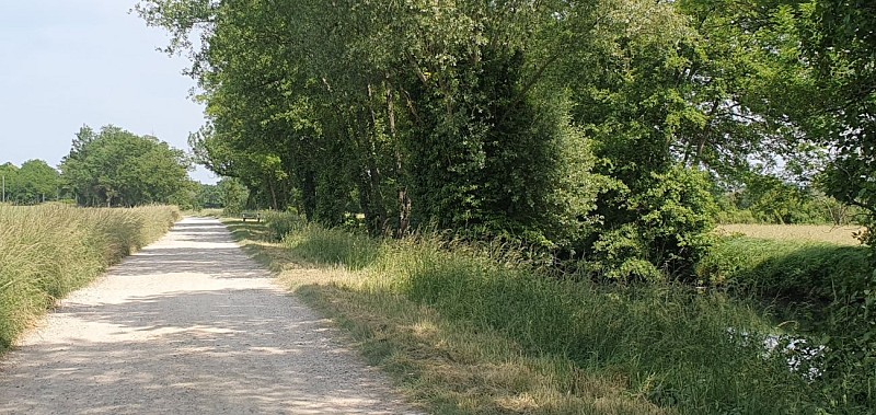 Walk - Molière and Vial marshes