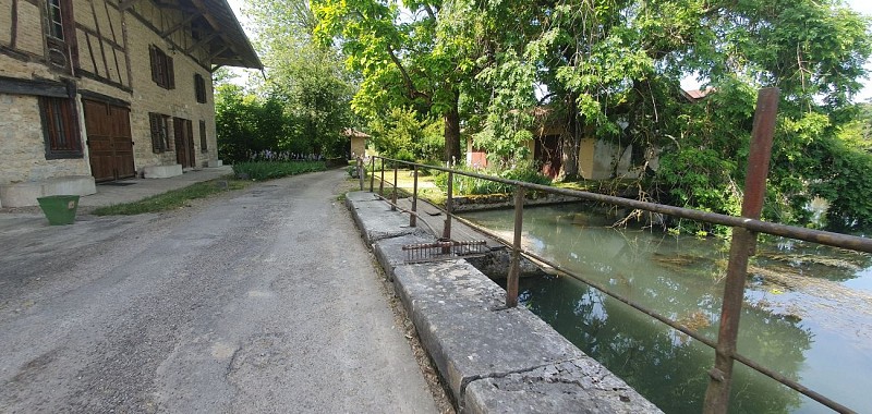 Walk - Between the Veyle and Irance rivers