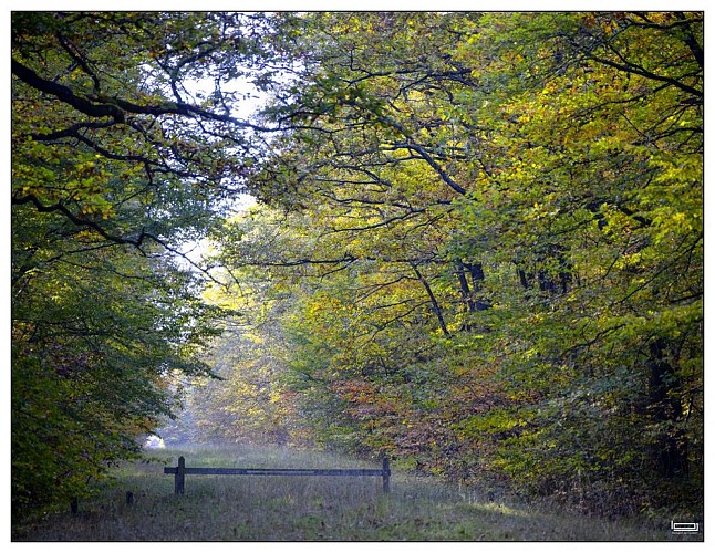 Circuit de l Emerillon