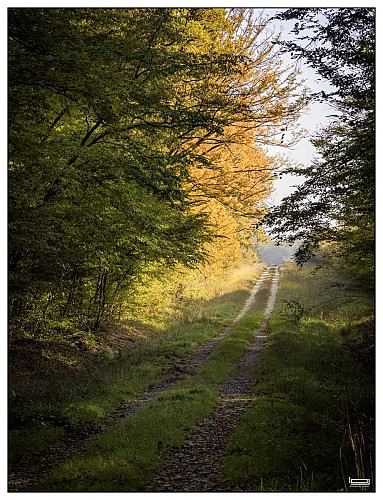 Circuit de l Emerillon