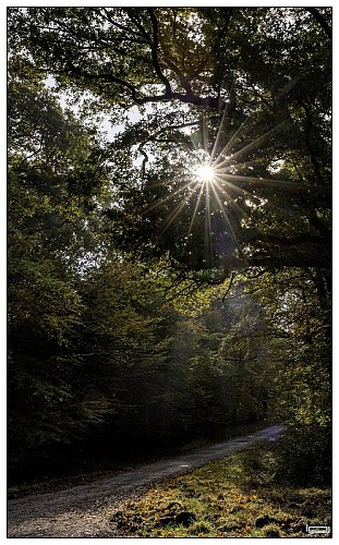 Circuit de l Emerillon