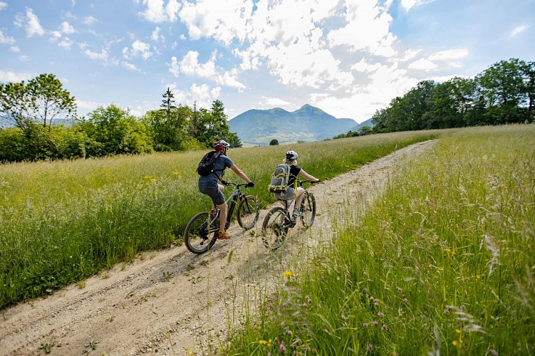 Mountain bike route - Les Balcons des Grands Prés - Tour number 2