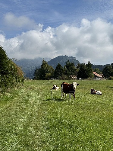 Mountain bike route - Les Balcons des Grands Prés - Tour number 2