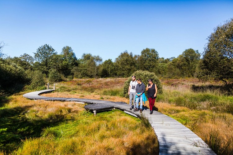 Les landes de Lan Bern - sentier accessible