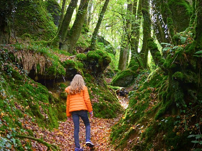 Le bois de Kerbescont