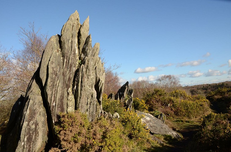 Du Liscuis à l'Abbaye - variante 3