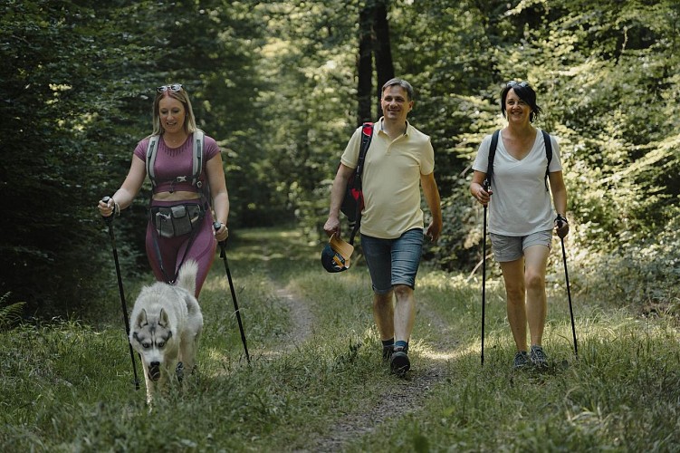 Le Circuit du Lavoir