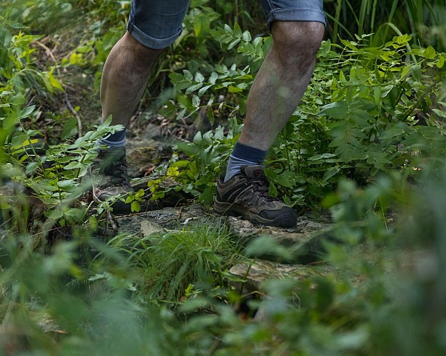 Le Circuit du Lavoir